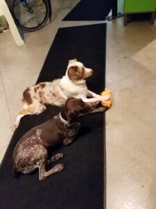 20190305 154753 scaled